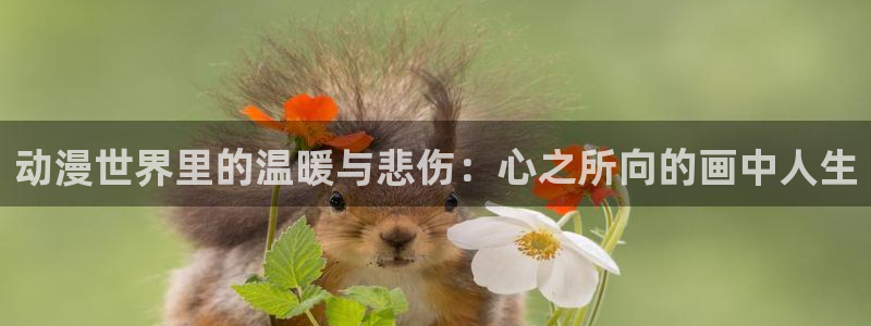 动漫天堂91：动漫世界里的温暖与悲伤：心之所向的画中人生