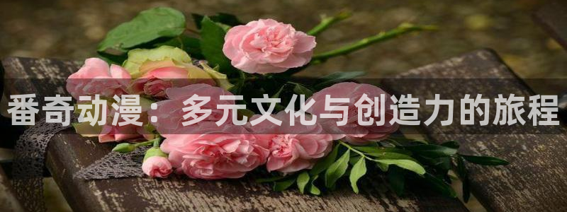 天堂动漫破解版：番奇动漫：多元文化与创造力的旅程