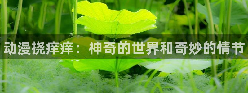 美妙天堂动漫免费观看：动漫挠痒痒：神奇的世界和奇妙的情节