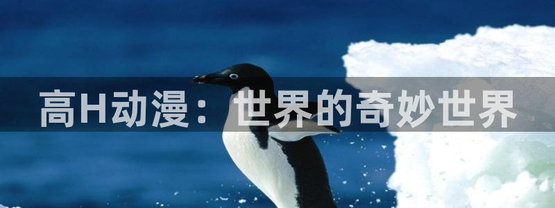 天堂动漫app：高H动漫：世界的奇妙世界