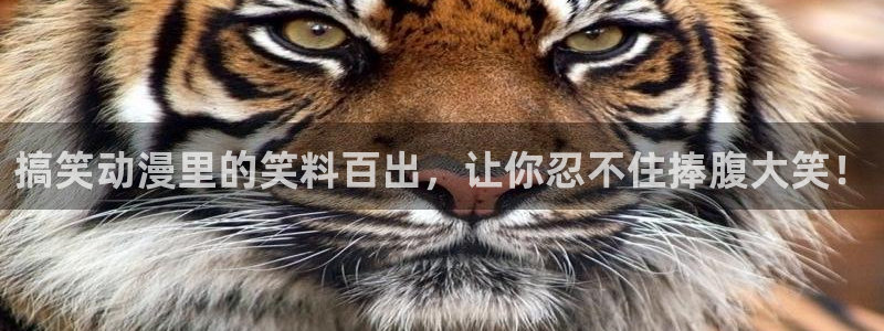 亚洲动漫天堂在线