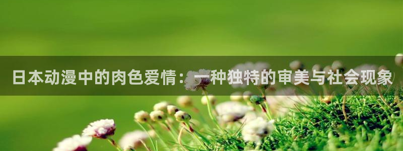 动漫天堂动漫