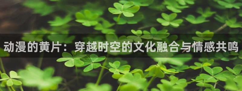 成人天堂动漫：动漫的黄片：穿越时空的文化融合与情感共鸣